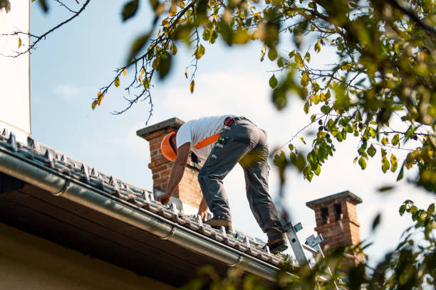 Best Rubber Roofing (EPDM, TPO)  in Ettrick, VA