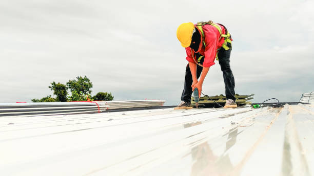 Best Roof Moss and Algae Removal  in Ettrick, VA